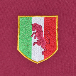 torino-blason-ecusson-foot-calcio