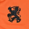 hollande-1974-blason-lion