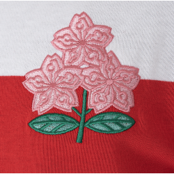 logo Maillot Rugby Japon 1987