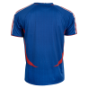Maillot France 2006