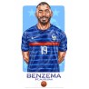 Karim Benzema France 2022 - Illustration Art