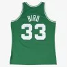 Boston Celtics Larry Bird jersey