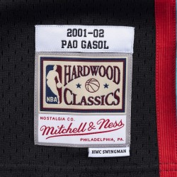 Memphis Grizzlies Pau Gasol 2001 jersey