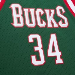 Giannis Antetokounmpo Milwaukee Bucks 2013 jersey