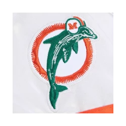 Logo Miami Dolphins Special Edition