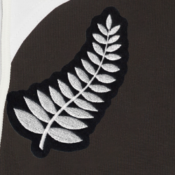 Rugby New Zealand jersey 1905