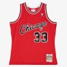 Scottie Pippen Chicago Bulls Jersey 2003–2004
