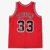 Maillot Chicago Bulls Scottie Pippen 2003 2004
