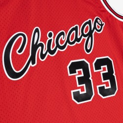 Scottie Pippen Chicago Bulls Jersey 2003–2004