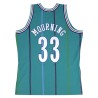 maillot charlotte hornets alonzo mourning 1992