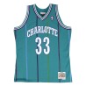 Maillot Charlotte Hornets Alonzo Mourning 1992 1993