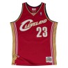 Maillot Cleveland Cavaliers Lebron James 2003
