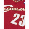 Cleveland Cavaliers Lebron James 2003 jersey