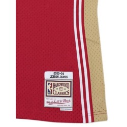 Cleveland Cavaliers Lebron James 2003 jersey