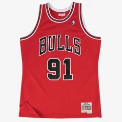 Maillot Chicago Bulls...