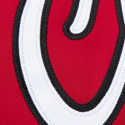 Veste Chicago Bulls Saint Lightweight