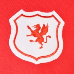 Maillot Pays de Galles 1920 vintage