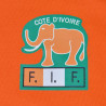 vote-ivoire-blason-foot-elephant