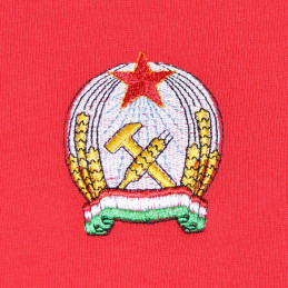 hongrie-1954-foot-ecusson-badge