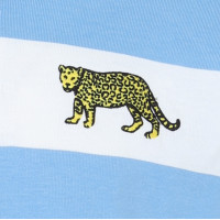 Argentine Rugby: maillots Retros des Pumas