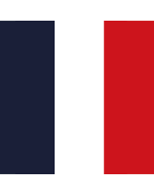 France : Maillots Rugby vintage
