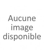 Stade Bordelais Universite Club